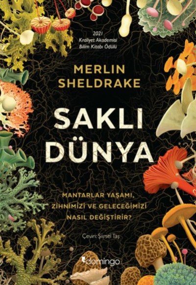 Saklı Dünya Saklı Dünya