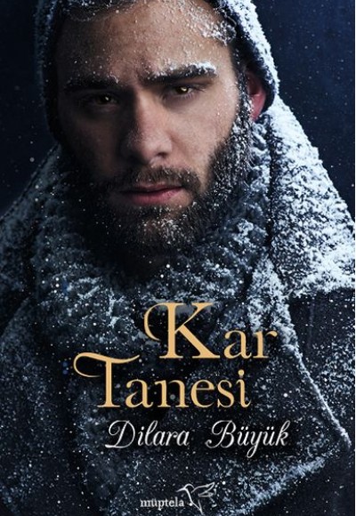 Kar Tanesi Kar Tanesi