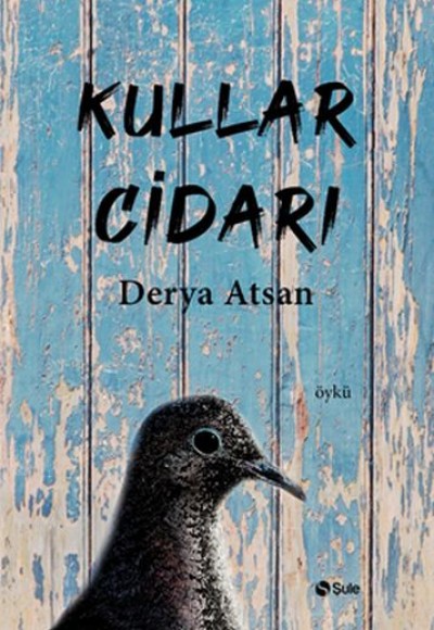 Kullar Cidarı Kullar Cidarı