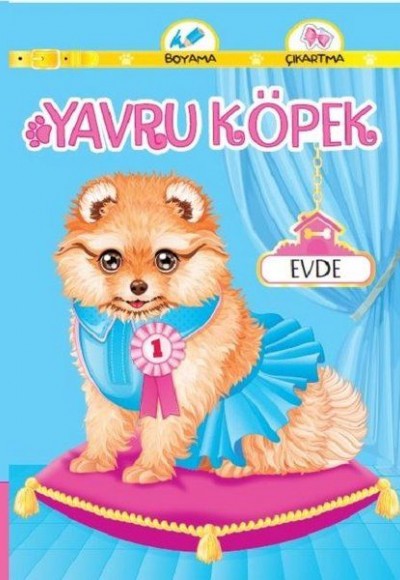 Yavru Köpek Evde Yavru Köpek Evde