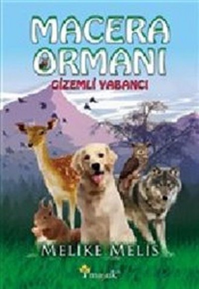 Macera Ormanı Macera Ormanı