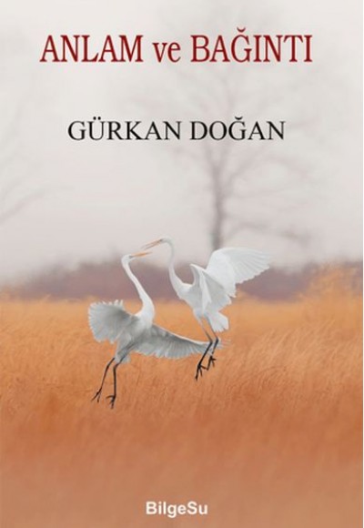 Anlam ve Bağıntı Anlam ve Bağıntı