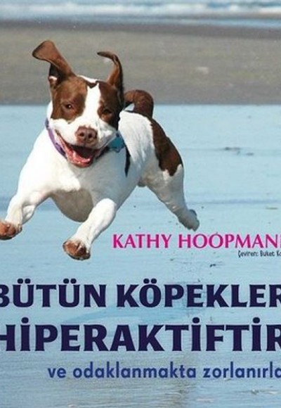 Bütün Köpekler Hiperaktiftir ve Odaklanmakta Zorlanırlar Bütün Köpekler Hiperaktiftir ve Odaklanmakta Zorlanırlar