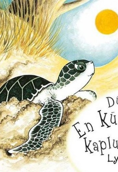 Dünyanın En Küçük Kaplumbağası Dünyanın En Küçük Kaplumbağası