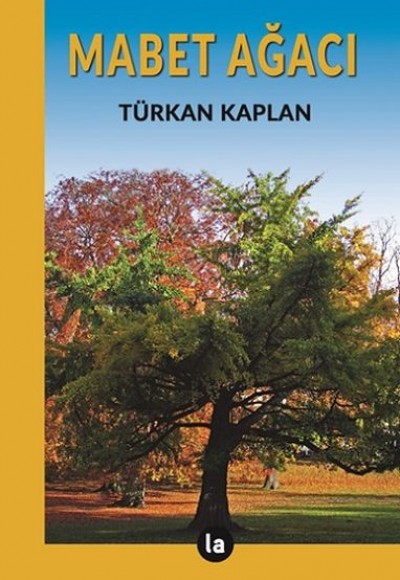 Mabet Ağacı Mabet Ağacı