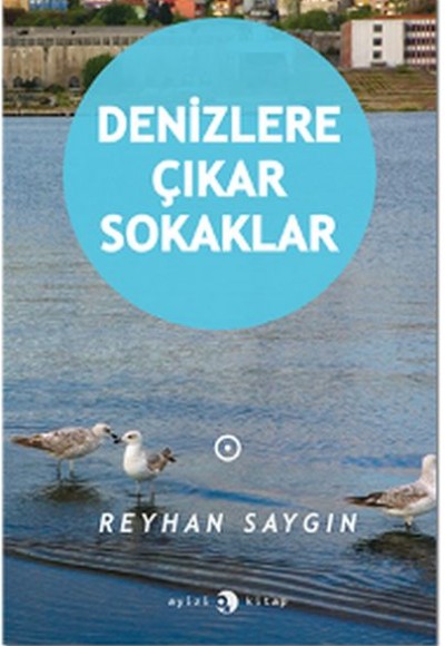 Denizlere Çıkar Sokaklar Denizlere Çıkar Sokaklar