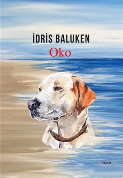 Oko Oko