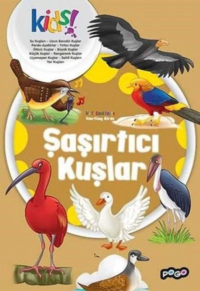 Şaşırtıcı Kuşlar Şaşırtıcı Kuşlar