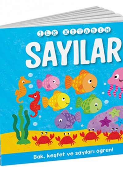 İlk Kitabım - Sayılar İlk Kitabım - Sayılar