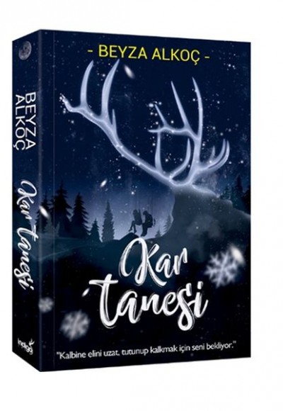 Kar Tanesi Kar Tanesi