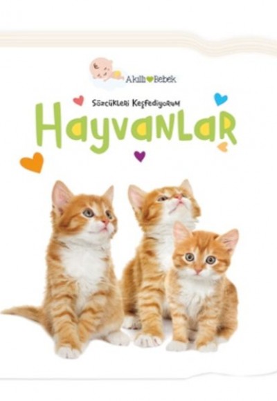 Hayvanlar - Sözcükleri Keşfediyorum Hayvanlar - Sözcükleri Keşfediyorum
