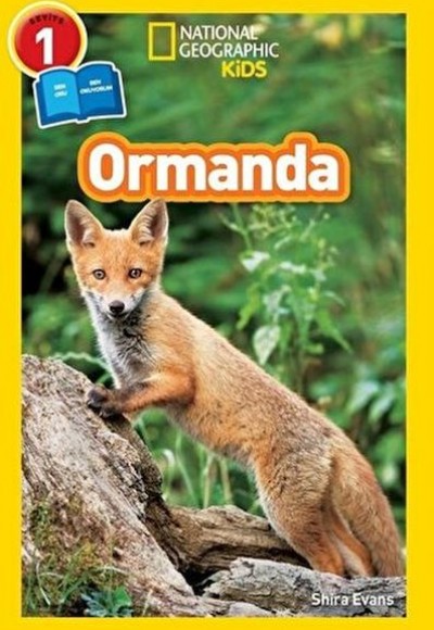 Ormanda - Seviye 1 Ormanda - Seviye 1