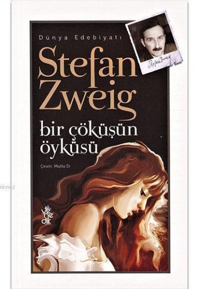 Bir Çöküşün Öyküsü Bir Çöküşün Öyküsü