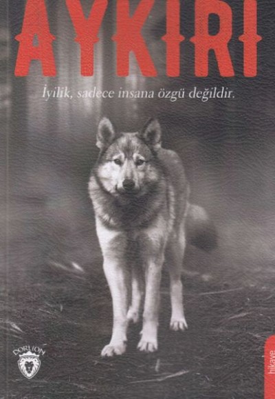 Aykırı Aykırı