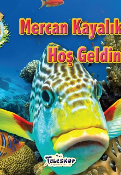 Mercan Kayalıklarına Hoş Geldiniz Mercan Kayalıklarına Hoş Geldiniz