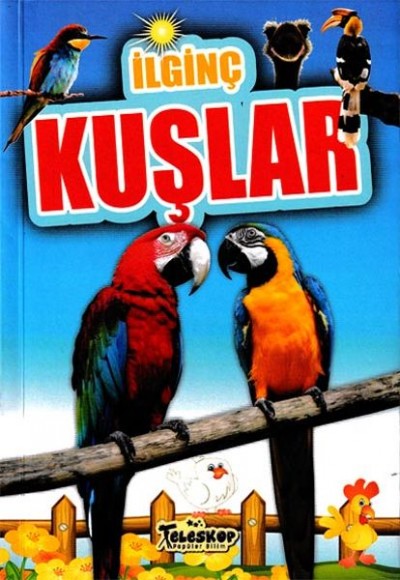 İlginç Kuşlar - İlginç Bilgiler Serisi İlginç Kuşlar - İlginç Bilgiler Serisi