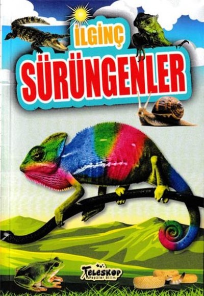 İlginç Sürüngenler - İlginç Bilgiler Serisi İlginç Sürüngenler - İlginç Bilgiler Serisi