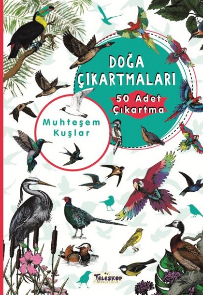 Muhteşem Kuşlar - Doğa Çıkartmaları Muhteşem Kuşlar - Doğa Çıkartmaları