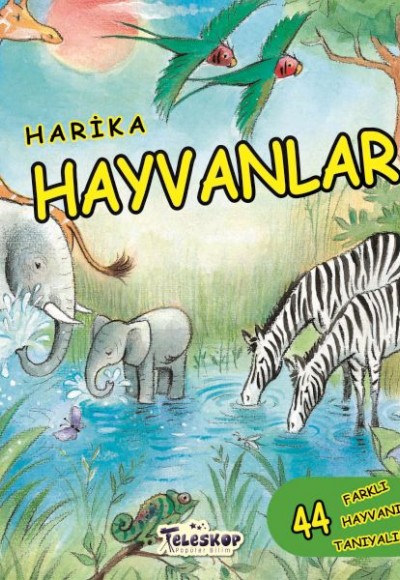 Harika Hayvanlar Harika Hayvanlar