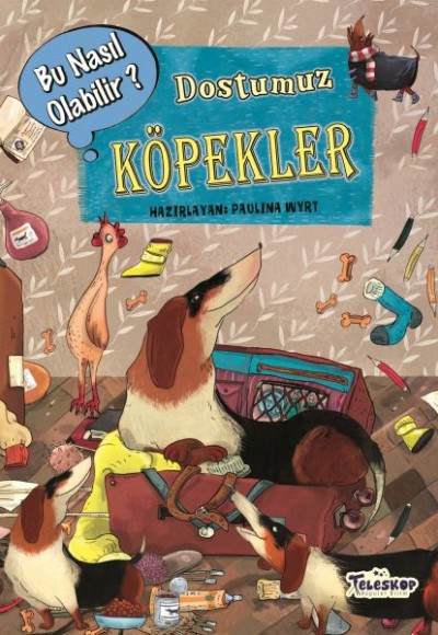Dostumuz Köpekler - Bu Nasıl Olabilir? Dostumuz Köpekler - Bu Nasıl Olabilir?