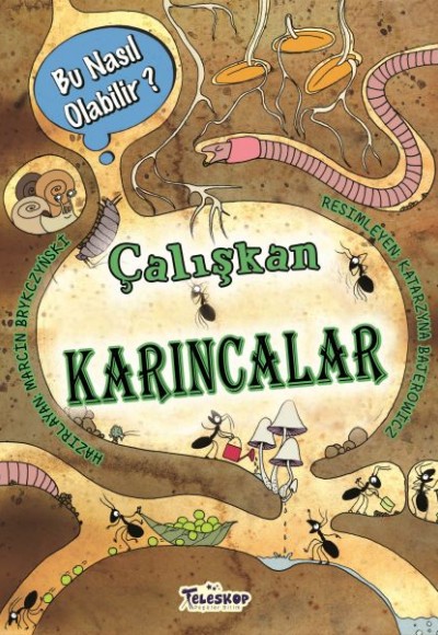 Çalışkan Karıncalar - Bu Nasıl Olabilir? Çalışkan Karıncalar - Bu Nasıl Olabilir?