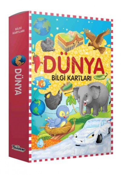 Bilgi Kartları - Dünya Bilgi Kartları - Dünya