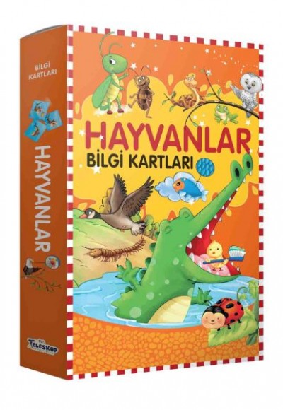 Bilgi Kartları - Hayvanlar Bilgi Kartları - Hayvanlar
