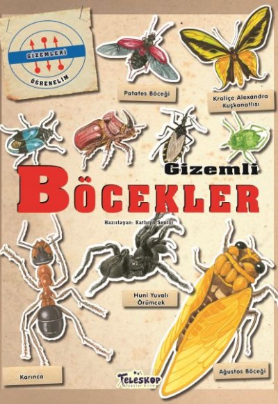 Gizemleri Öğrenelim - Gizemli Böcekler Gizemleri Öğrenelim - Gizemli Böcekler