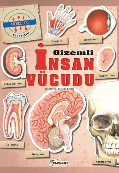 Gizemleri Öğrenelim - Gizemli İnsan Vücudu Gizemleri Öğrenelim - Gizemli İnsan Vücudu