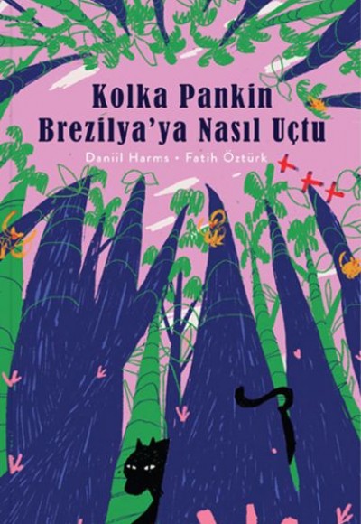 Kolka Pankin Brezilya’ya Nasıl Uçtu Kolka Pankin Brezilya’ya Nasıl Uçtu