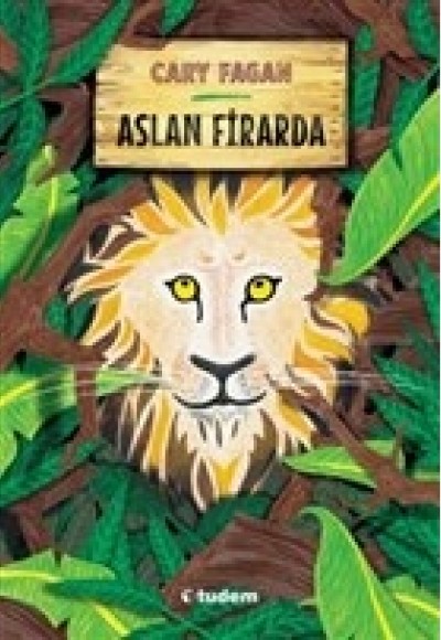 Aslan Firarda Aslan Firarda