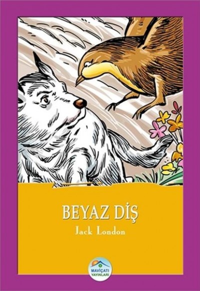 Beyaz Diş Beyaz Diş
