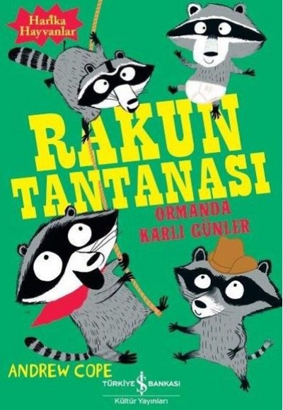 Rakun Tantanası - Ormanda Karlı Günler Rakun Tantanası - Ormanda Karlı Günler