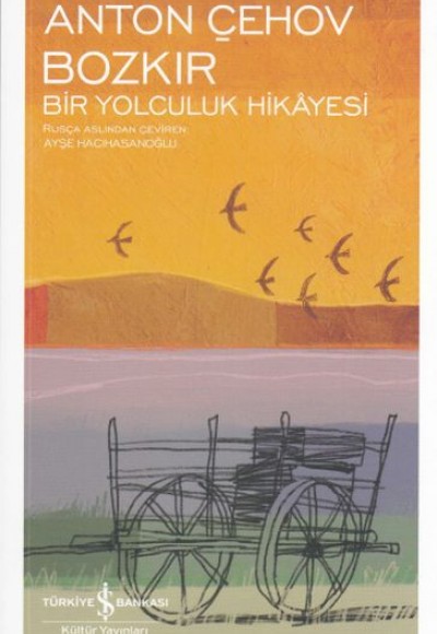Bozkır Bir Yolculuk Hikayesi - Modern Klasikler Dizisi Bozkır Bir Yolculuk Hikayesi - Modern Klasikler Dizisi