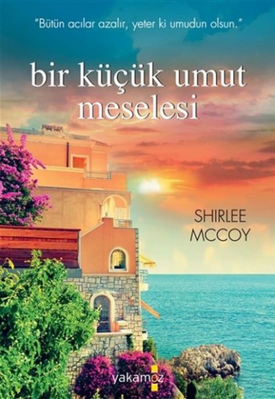 Bir Küçük Umut Meselesi Bir Küçük Umut Meselesi