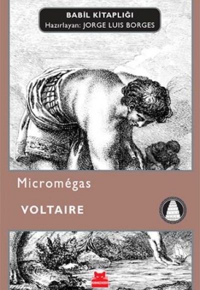 Micromegas Micromegas