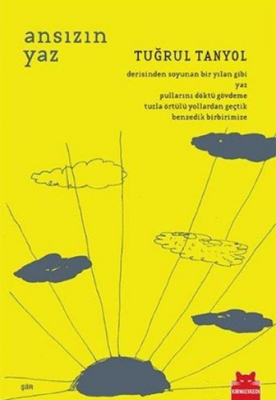 Ansızın Yaz Ansızın Yaz