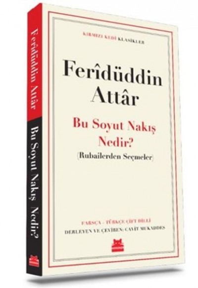 Bu Soyut Nakış Nedir? Bu Soyut Nakış Nedir?