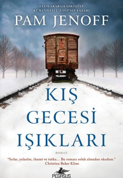 Kış Gecesi Işıkları Kış Gecesi Işıkları