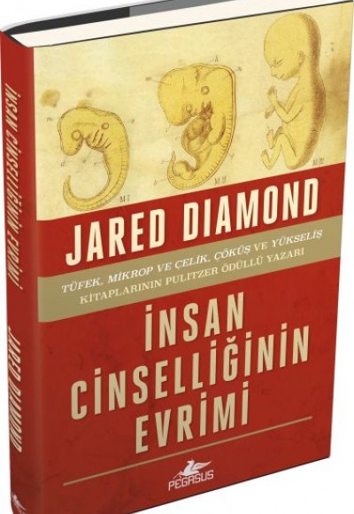 İnsan Cinselliğinin Evrimi - Ciltli İnsan Cinselliğinin Evrimi - Ciltli