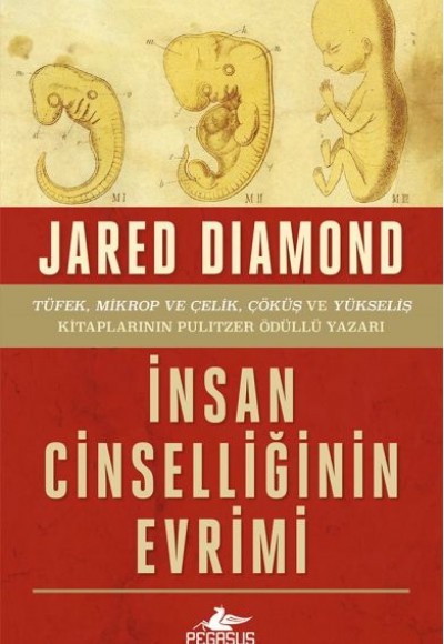 İnsan Cinselliğinin Evrimi - Ciltsiz İnsan Cinselliğinin Evrimi - Ciltsiz