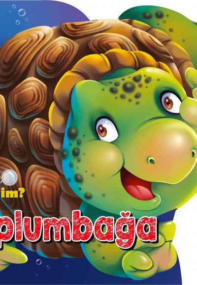 Ben Kimim - Kaplumbağa Ben Kimim - Kaplumbağa