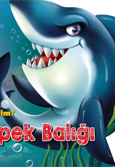 Ben Kimim? - Köpek Balığı Ben Kimim? - Köpek Balığı