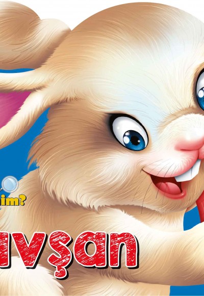 Ben Kimim? - Tavşan Ben Kimim? - Tavşan