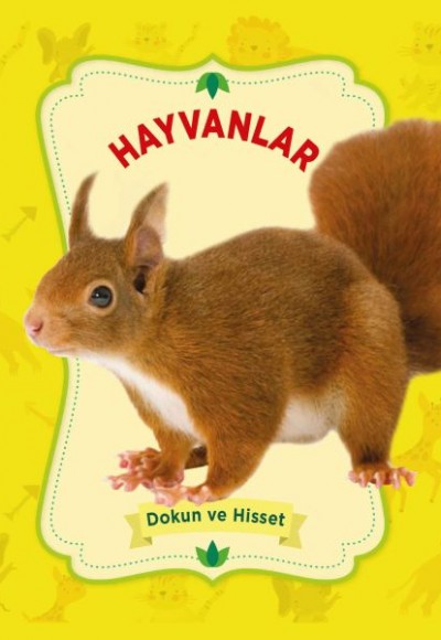Hayvanlar - Dokun ve Hisset Hayvanlar - Dokun ve Hisset