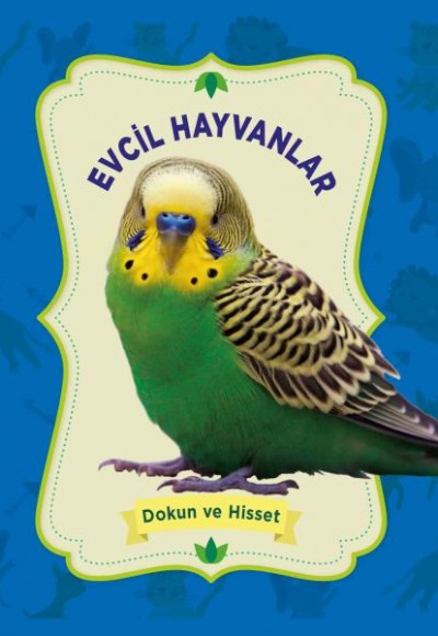 Evcil Hayvanlar - Dokun ve Hisset Evcil Hayvanlar - Dokun ve Hisset