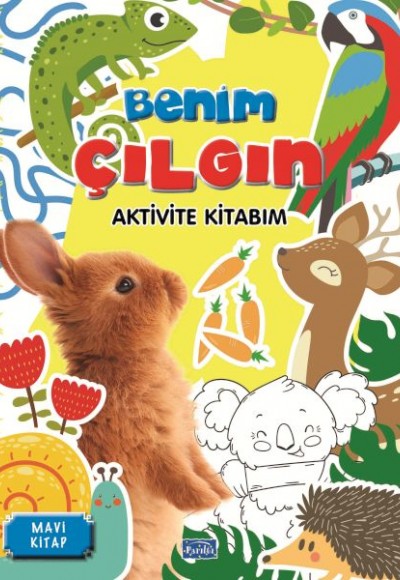 Benim Çılgın Aktivite Kitabım Mavi Kitap Benim Çılgın Aktivite Kitabım Mavi Kitap