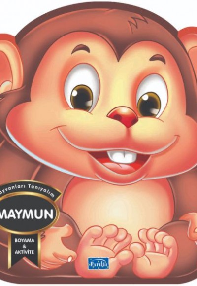 Maymun - Hayvanları Tanıyalım Maymun - Hayvanları Tanıyalım
