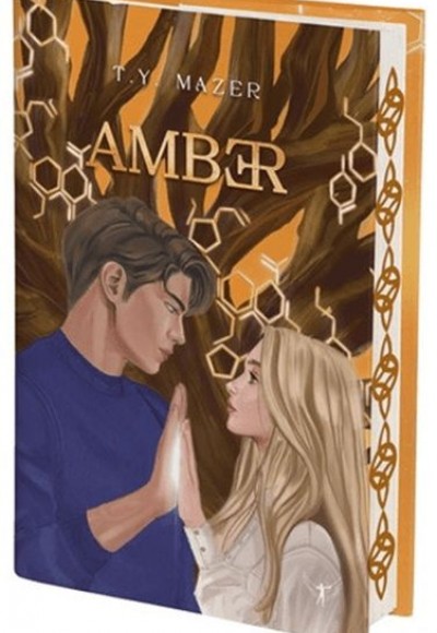 Amber (Ciltli) Amber (Ciltli)