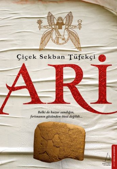 Ari Ari